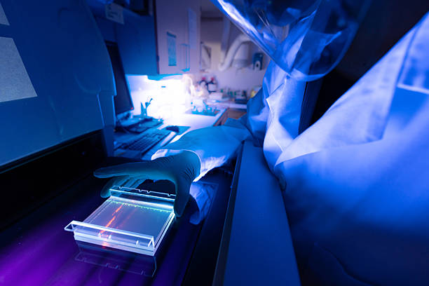 low price xinjiang zhongtai chemical