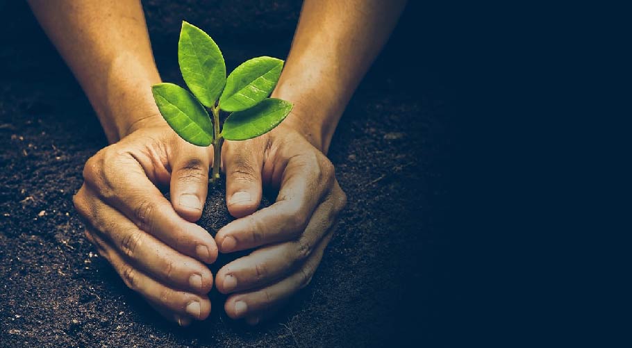 Xinjiang Zhongtai Chemical Co., Ltd.