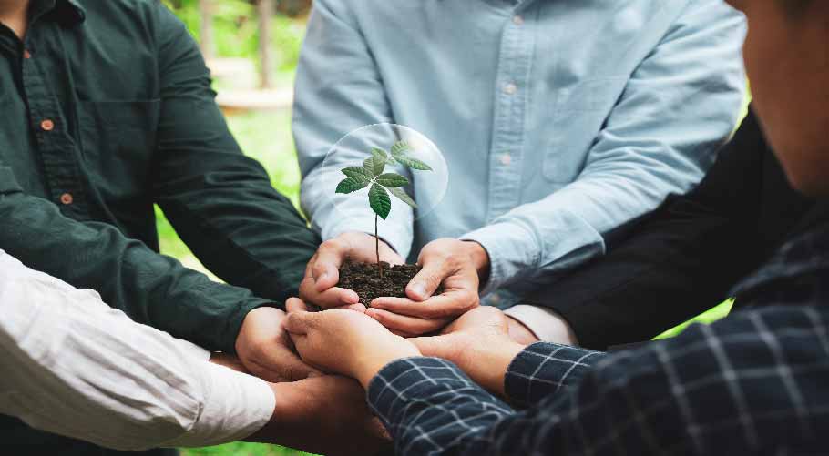 Xinjiang Zhongtai Chemical Co., Ltd.