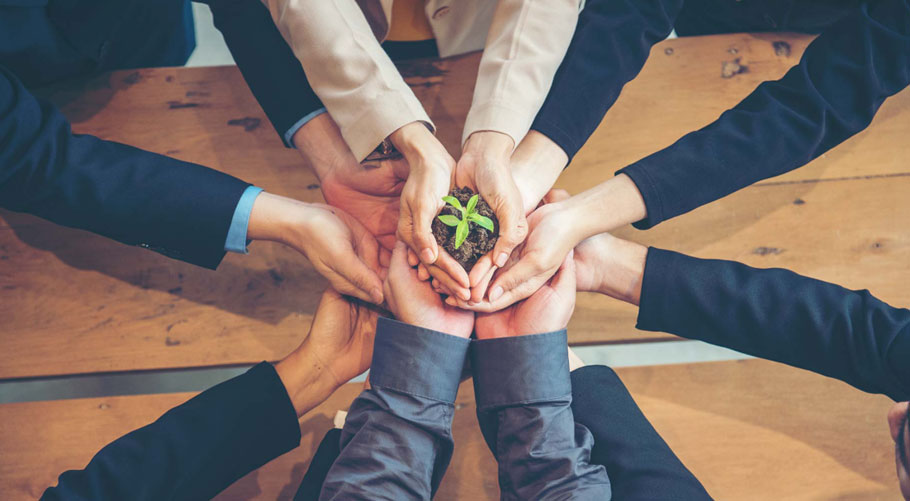 Xinjiang Zhongtai Chemical Co., Ltd.