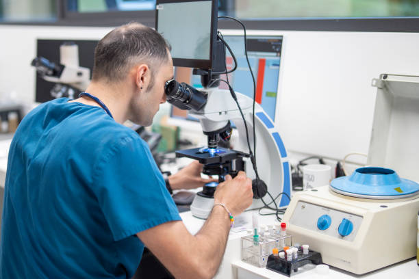 Xinjiang markor price