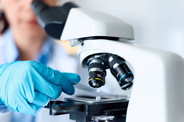 Xinjiang markor products