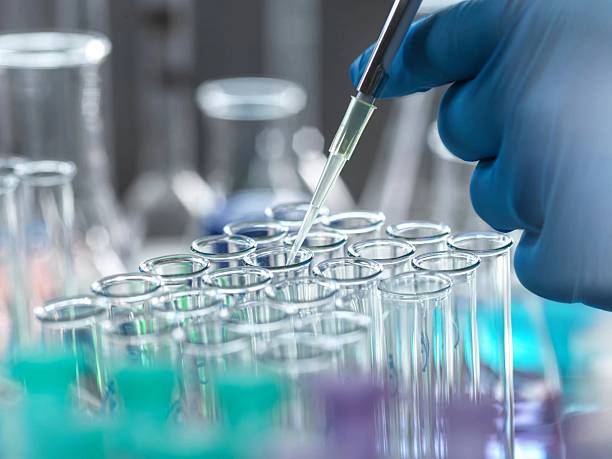 Xinjiang Shengxiong Energy Resource Co Ltd