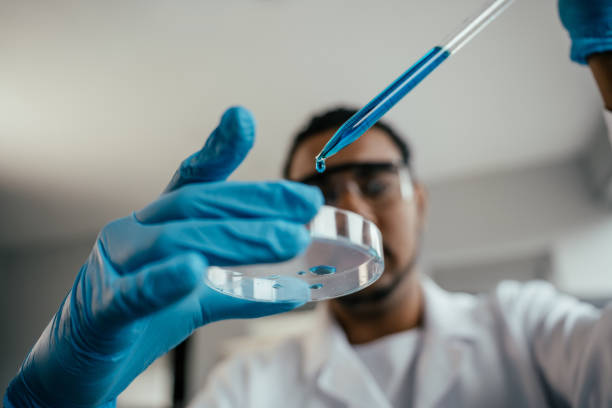 xinjiang zhongtai chemical co manufacturer in china