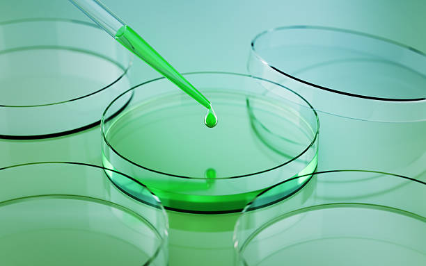 Xinjiang zhongtai import and export price