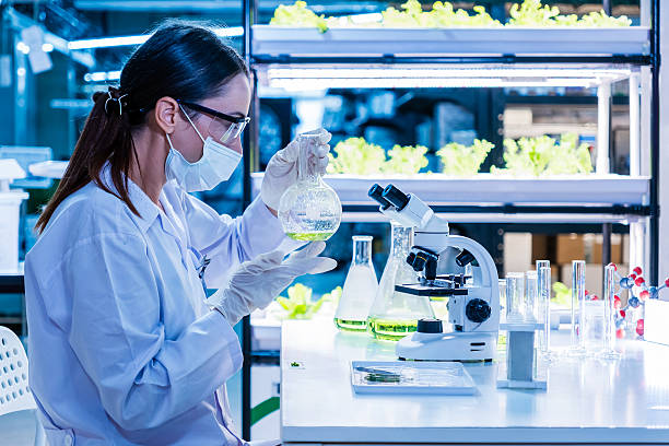 Zhongtai Group Co,.Ltd